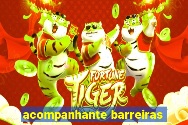 acompanhante barreiras